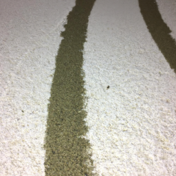 Géothermie Écologique : Planifiez avec Précision grâce à une Étude des Sols Approfondie Bonneville